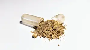 Brainmarket Ashwagandha