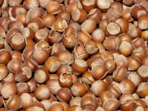 Nejlepší Vegan Protein