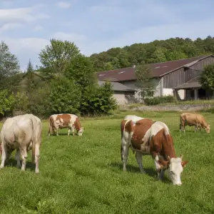Biofarma Arnoštice